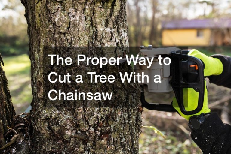 The Proper Way to Cut a Tree With a Chainsaw - WORLD GLOBAL NEWS