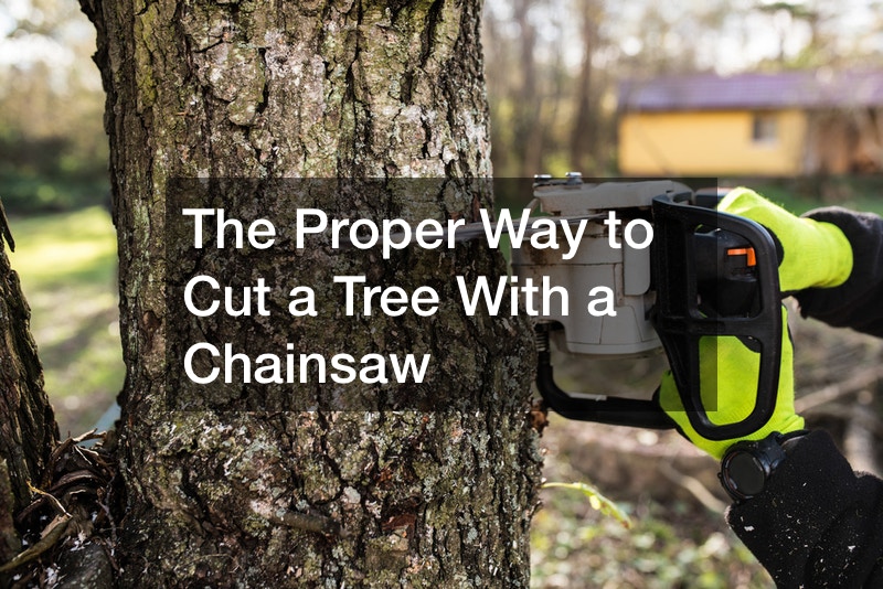 The Proper Way to Cut a Tree With a Chainsaw