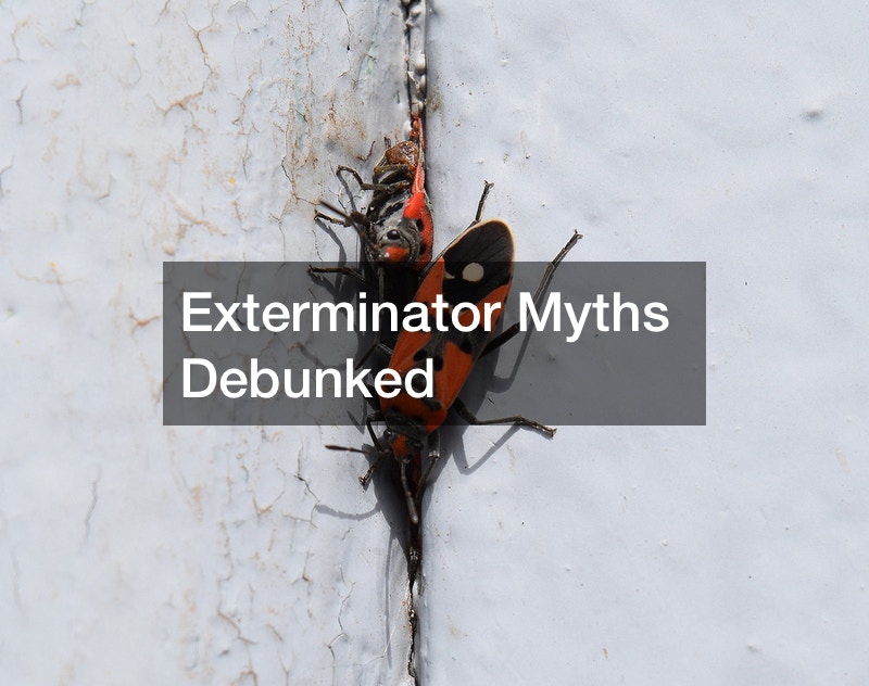 Exterminator Myths Debunked