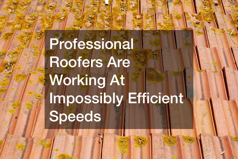 Professional Roofers Are Working At Impossibly Efficient Speeds