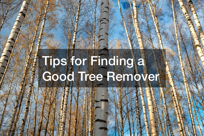 Tips for Finding a Good Tree Remover