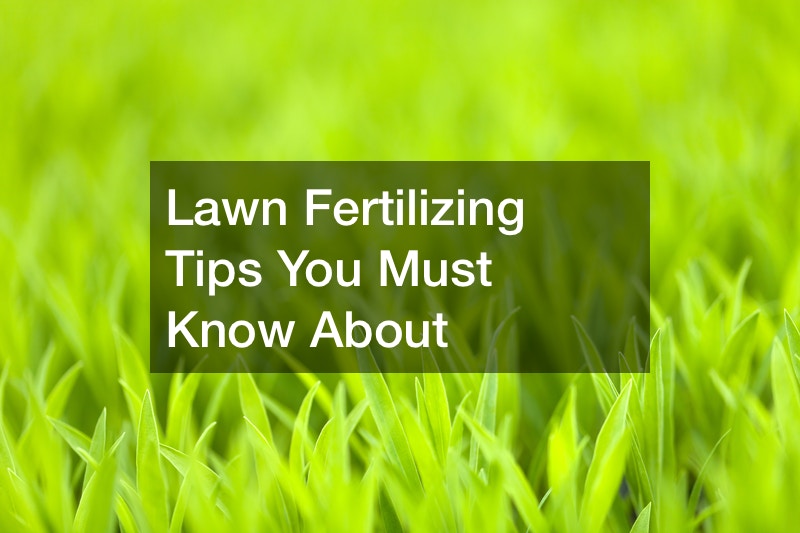 Lawn Fertilizing Tips You Must Know About