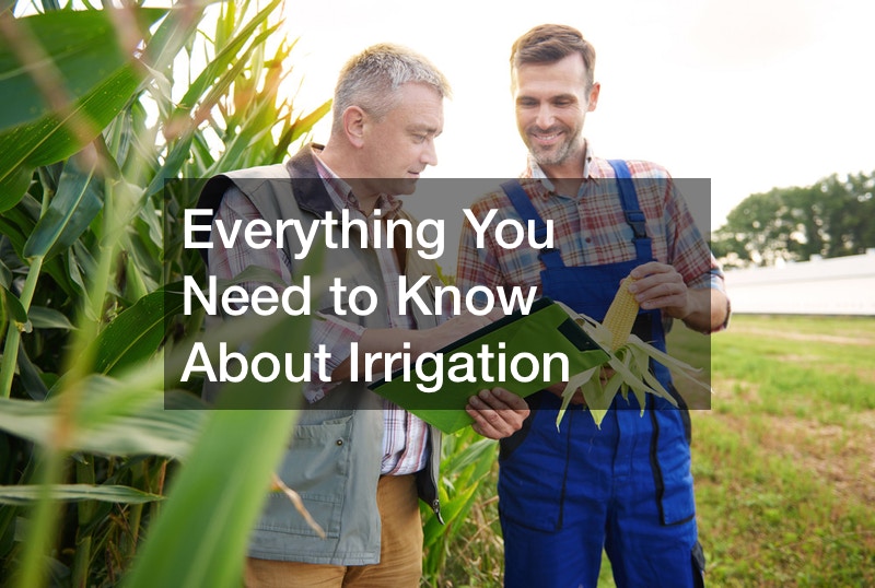 Everything You Need to Know About Irrigation