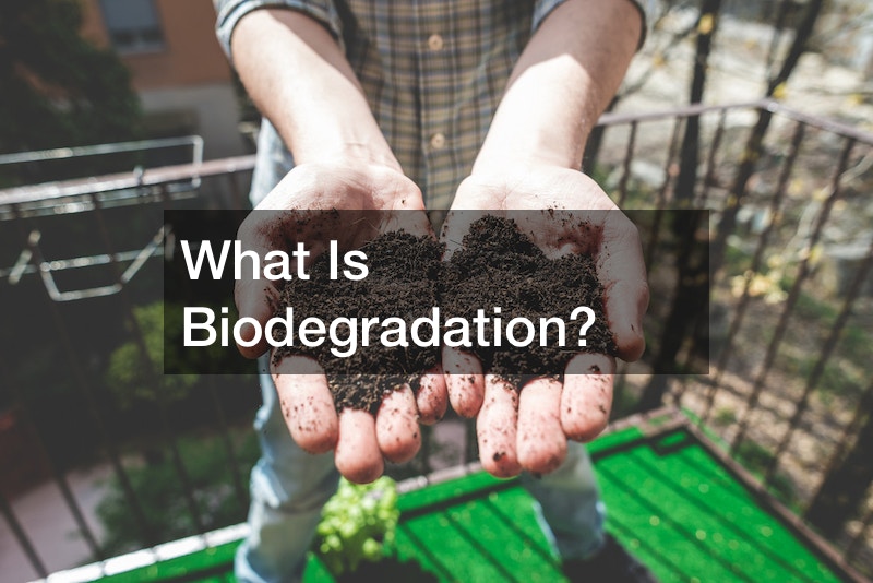 What Is Biodegradation?