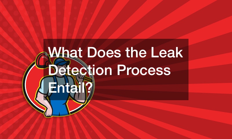 What Does the Leak Detection Process Entail?