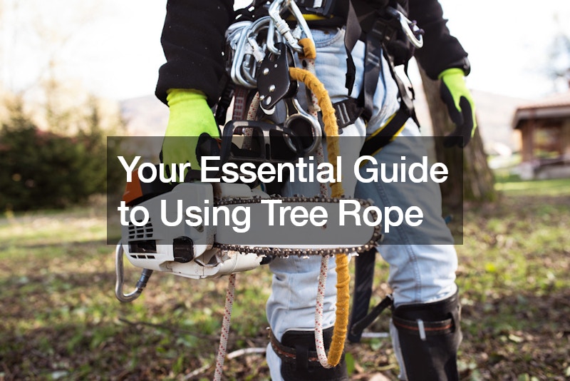 Your Essential Guide to Using Tree Rope