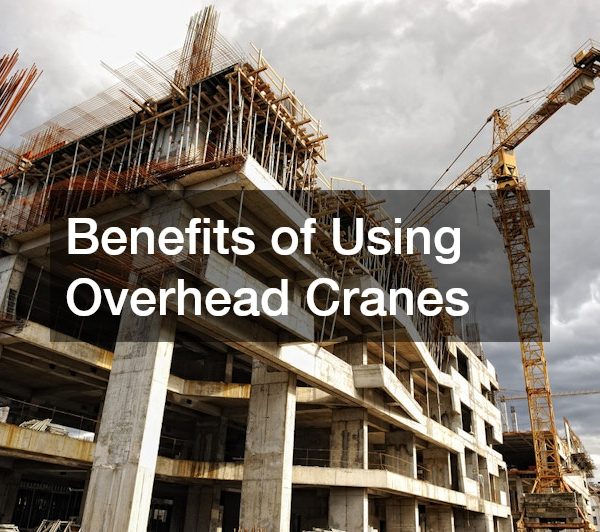 Understanding Overhead Cranes Functions, Types, and Applications