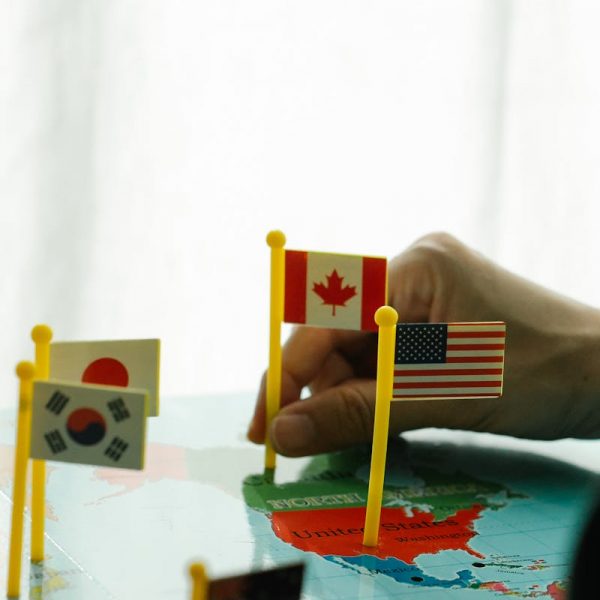 small flags on the world map